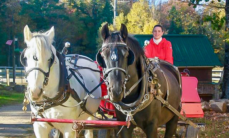 Image 3:  Group Horse-Drawn Sleigh/Wagon Ride with Guide at Cornerstone Ranch