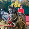 Image 3:  Group Horse-Drawn Sleigh/Wagon Ride with Guide at Cornerstone Ranch