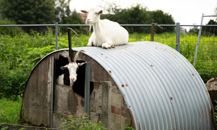 Image 2: Tageskarte für den Erlebnishof Borgholzhausen für 2 oder 4 Personen