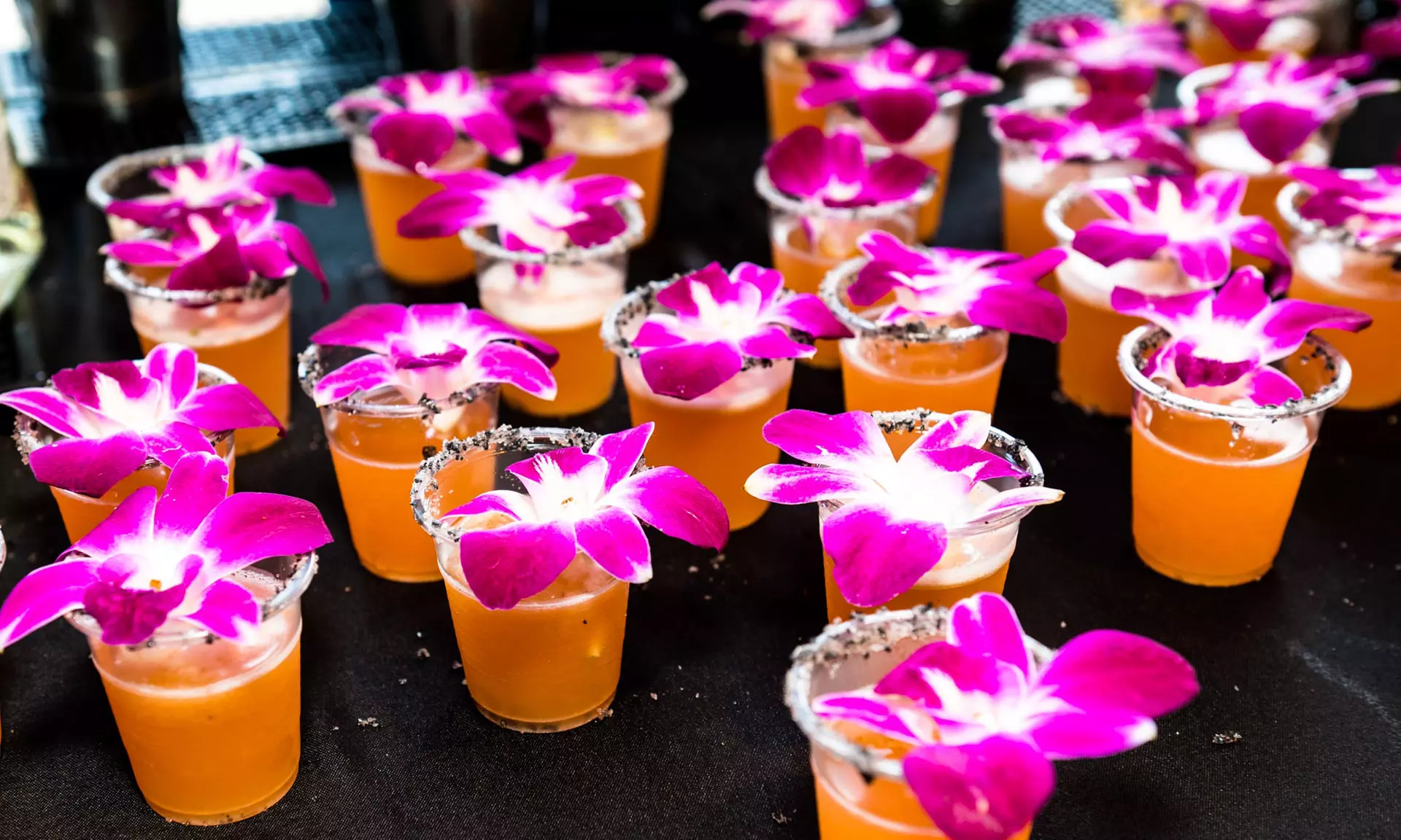 General Admission to Margarita Wars 2024 (Up to 25% Off) - Primary Image
