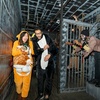 Image 4: Haunted House Admission For One at Screemers