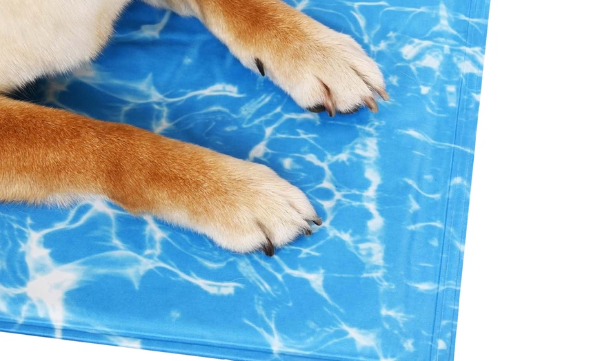 Image 4: Kühlmatte für Haustiere