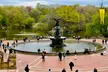 Top-Rated Central Park Pedicab Tour – History, Views & Photo Opportunities Up to  38% Off - Second Medium