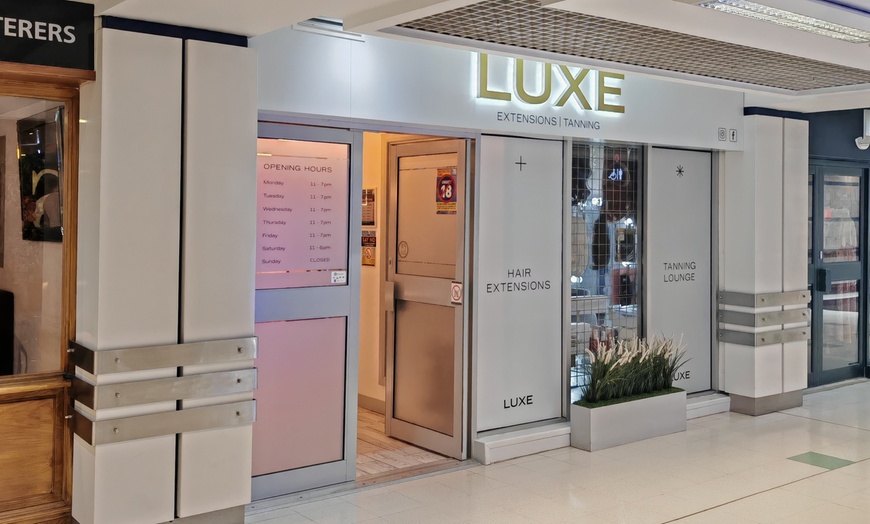 Image 3: One, Two, or Three Sessions of PRP Hair Loss or Face Treatment