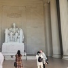 Image 23: New York City and Washington DC Day Tours Packages