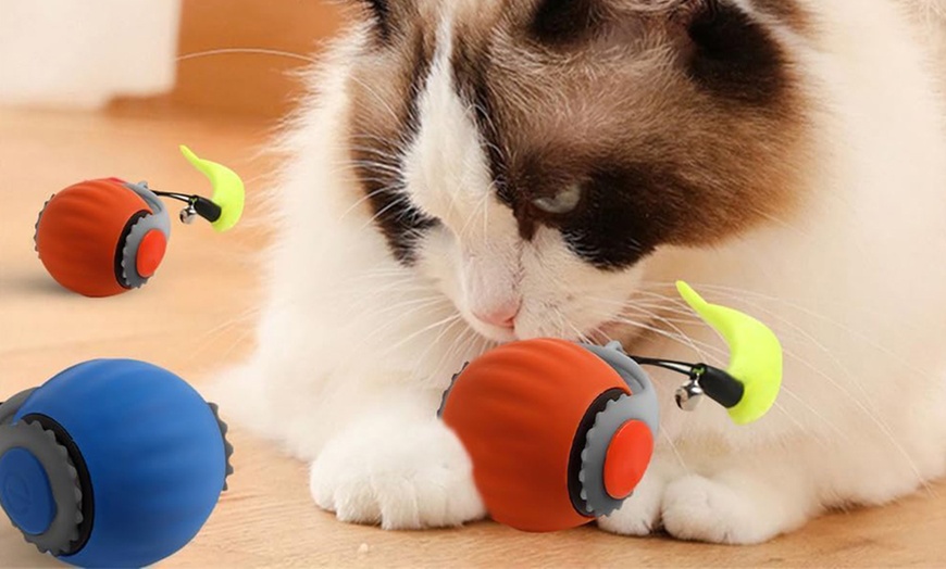 Image 14: Automatic Moving Cat Toy Ball: 1Pcs; FREE SHIPPING