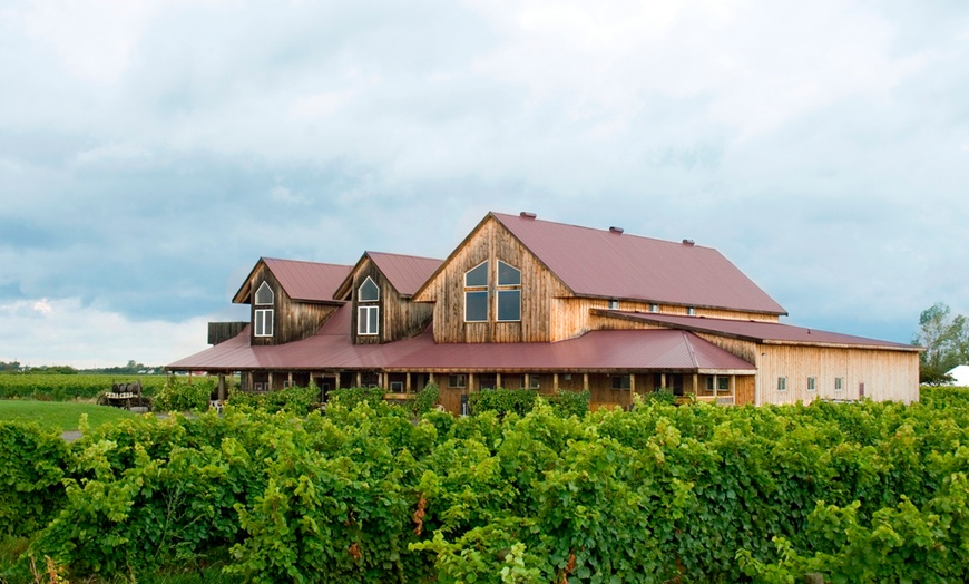 Image 5: Full Day Niagara Wine Tour with Transportation for Up To Four People