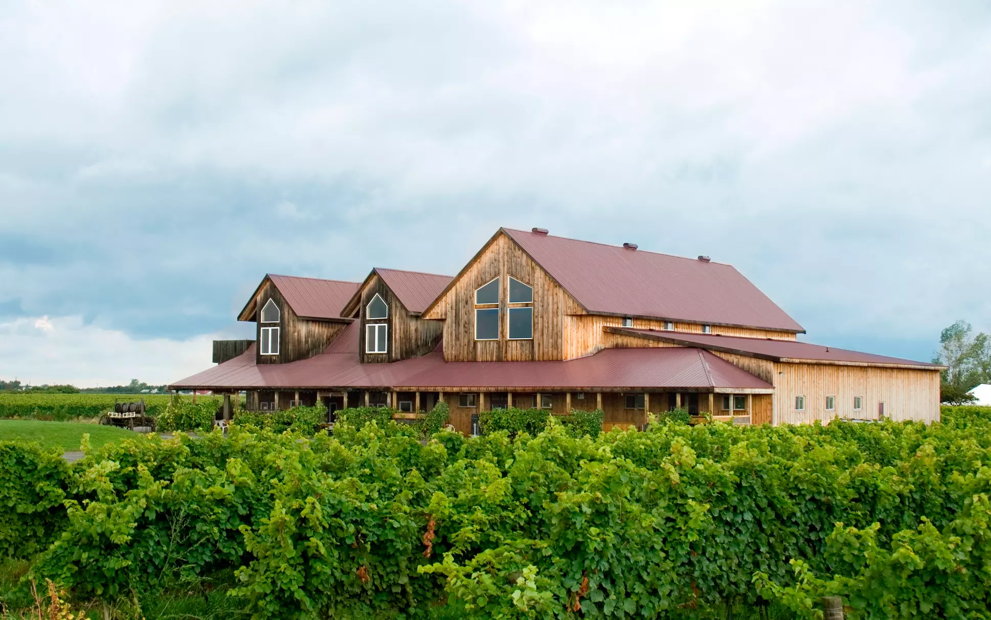 Full Day Niagara Wine Tour with Transportation for Up To Four People