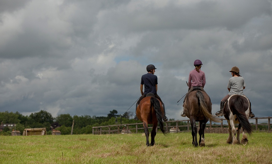 Image 2: One-Hour Horse Riding Lesson