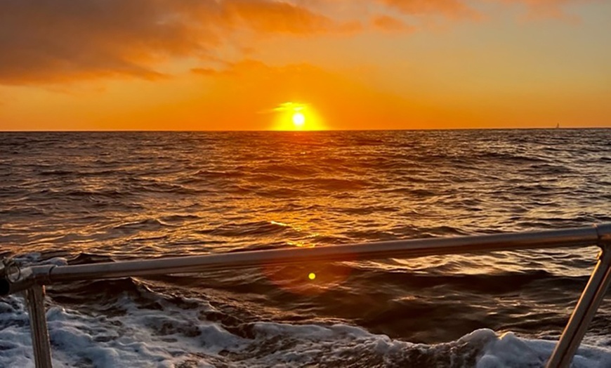 Image 6: Discover Marine Wonders on a Fast-paced Sea Safari