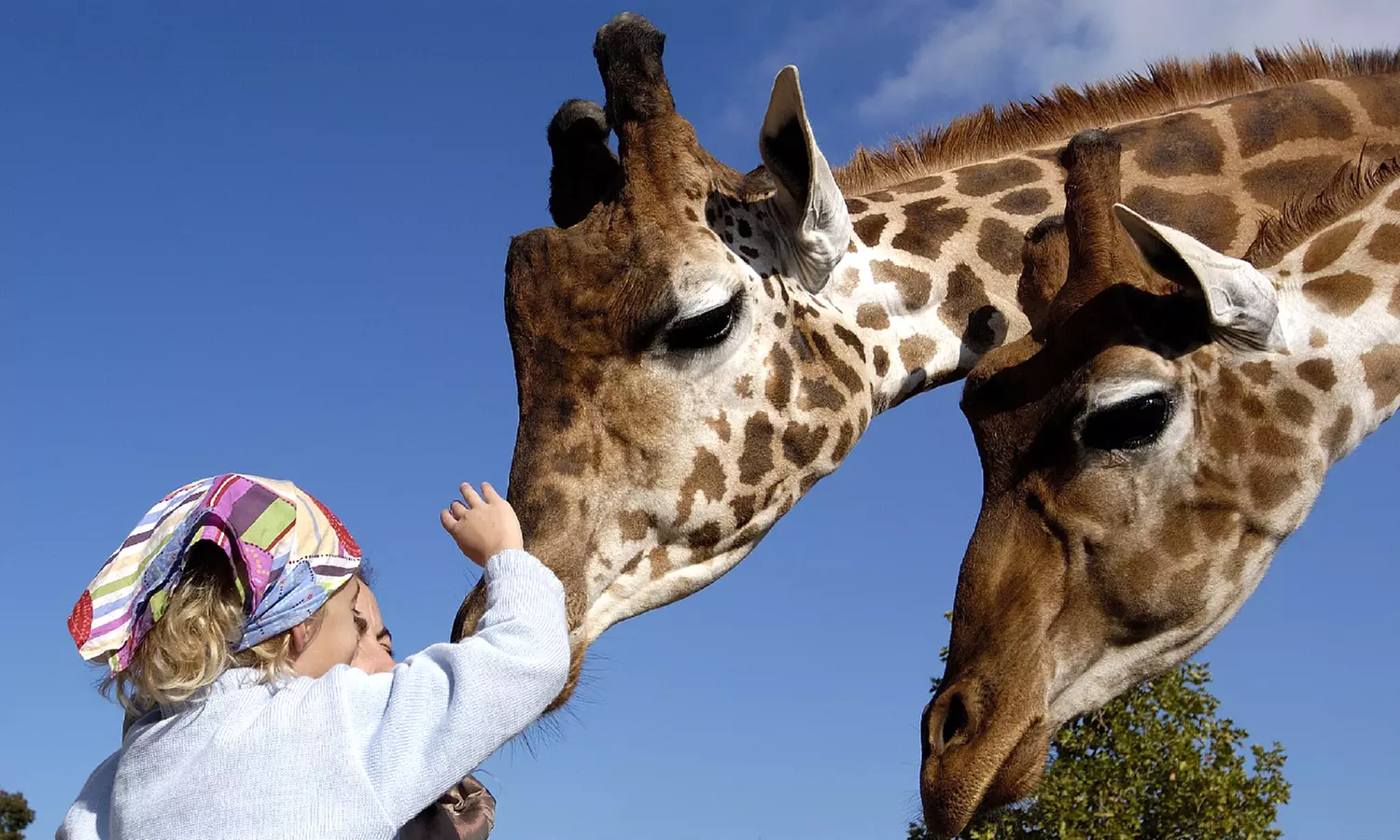 Tours : séjour en chambre double pour 2 personnes avec petit-déjeuner