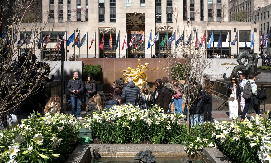 Image 2: See the Most Iconic New York Sights Up to 24% Off