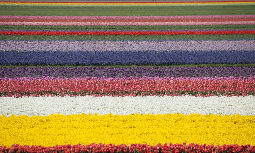 Image 17: Niederlande: 2-3 Nächte mit Frühstück