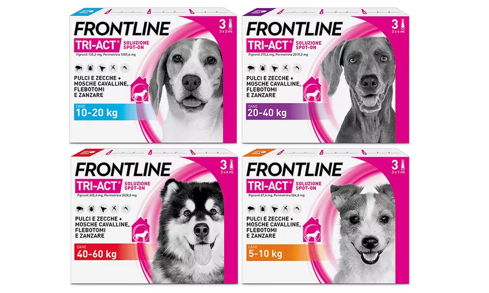 Fino a 12 pipette Frontline Tri-Act® Spot-on per cani