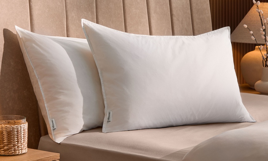 Image 2: Silentnight Duck Feather Pillow Pair
