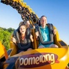 Image 1: Year-Round Thrills at North Florida’s Top Attractions
