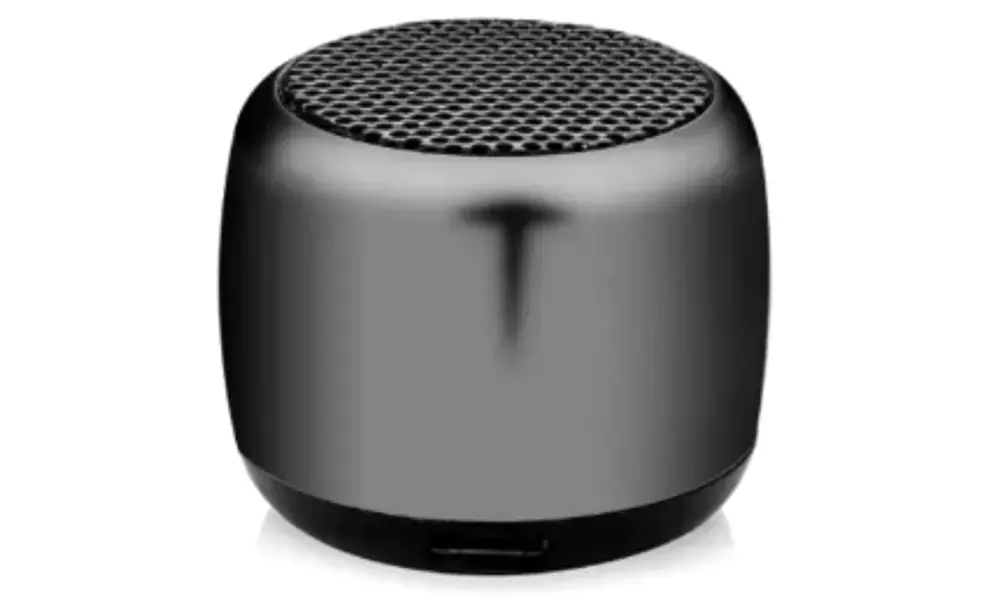 Portable Bluetooth Speaker, 3D Surround Sound & Built-In Microphone