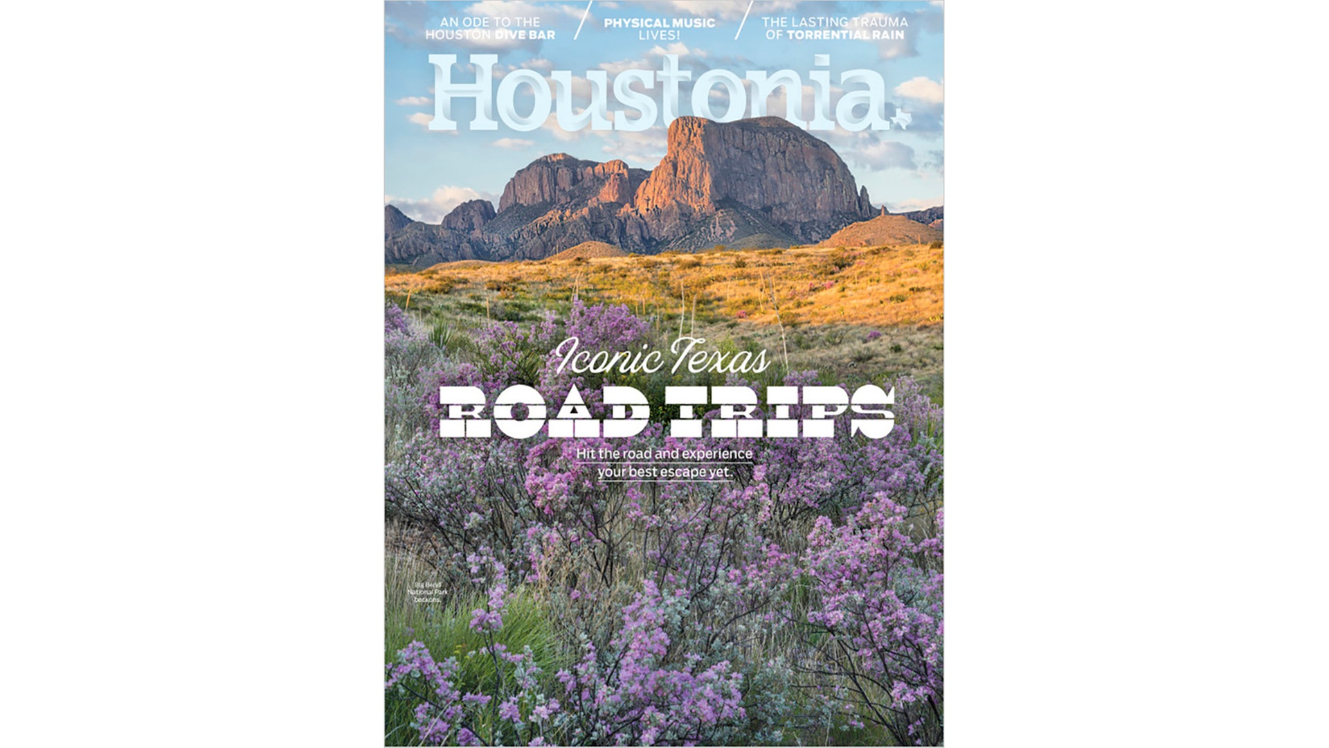 Subscription to Houstonia Magazine