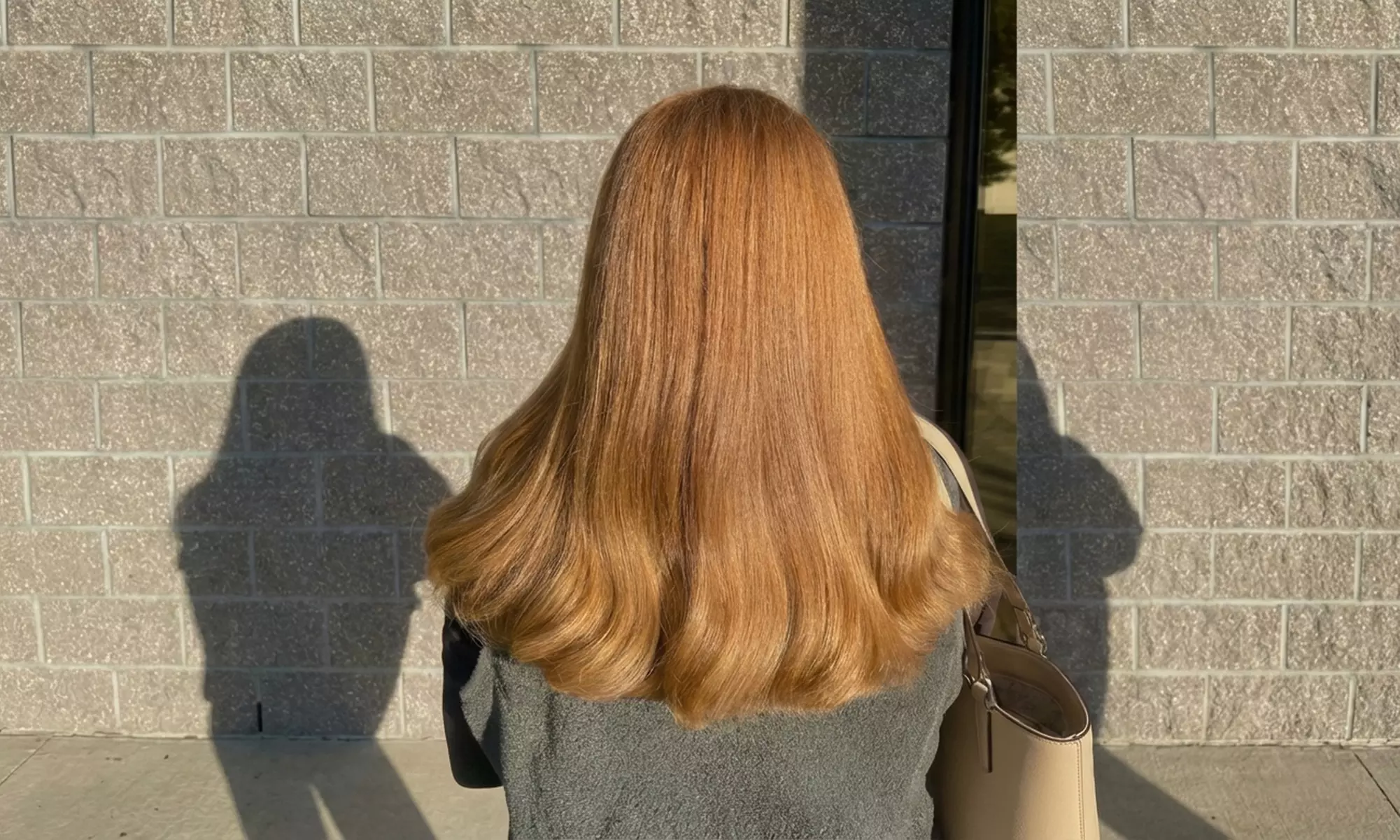 Complete Hair Transformation: Cut, Condition, Color & Styling