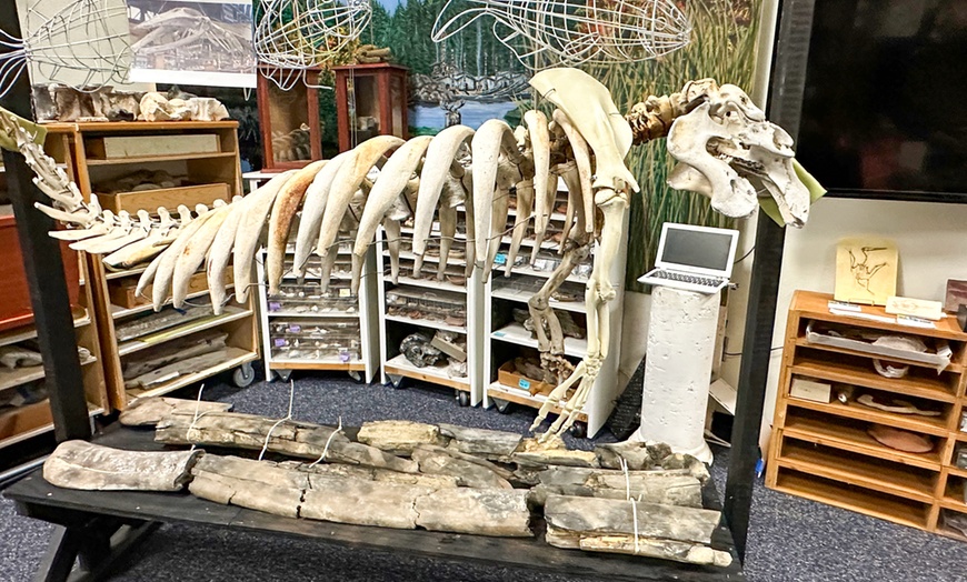 Image 3: Pre-Columbian Artifacts & Dinosaur Bones – New Port Richey