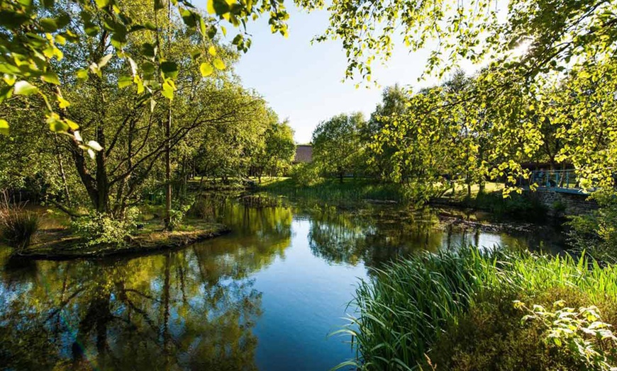 Image 13: Unwind with Afternoon Tea with Optional Prosecco and Lakeside Views