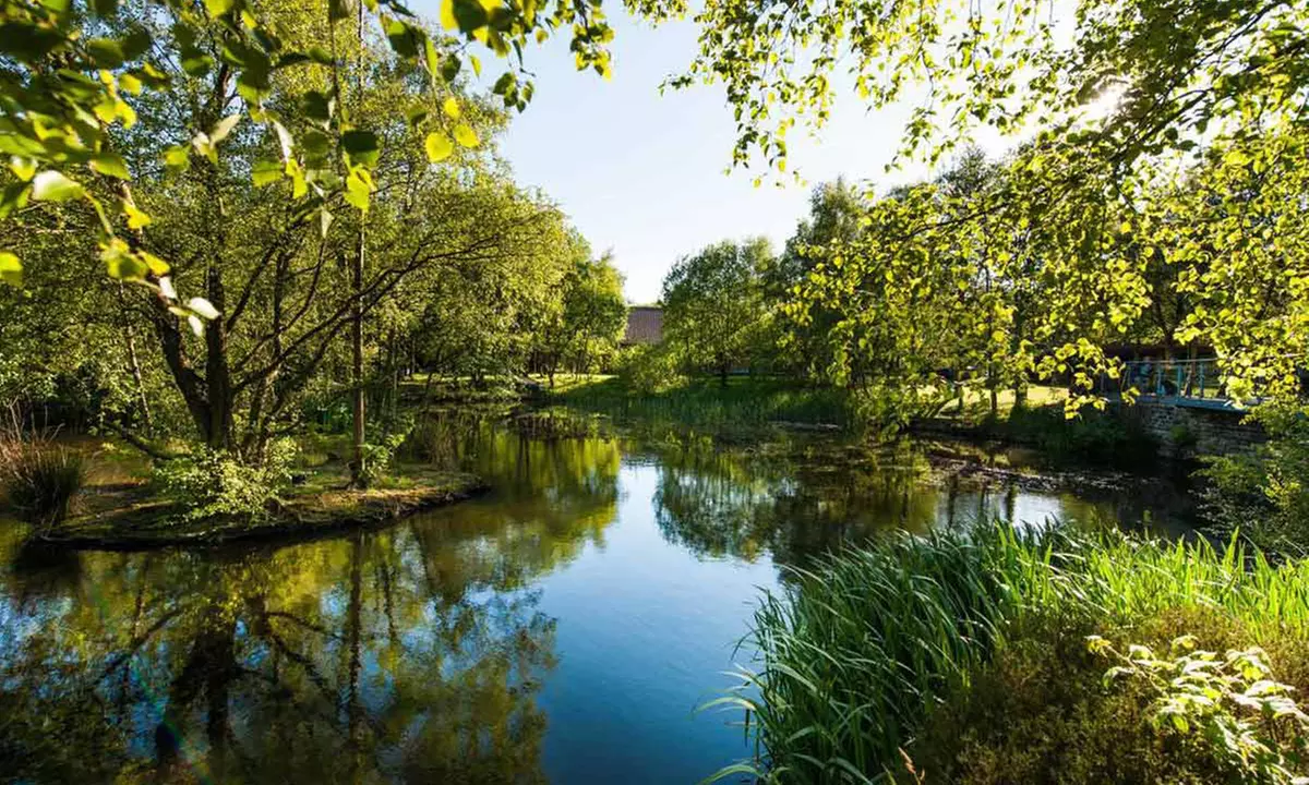 Savour Afternoon Tea with Optional Prosecco at The Lakeside Restaurant, Chevin Country Park Hotel—Up to 36%Off