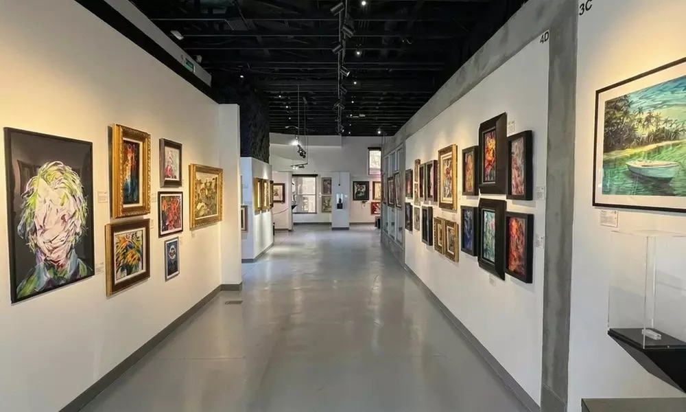 Art Museum Admission: Local & International Collections
