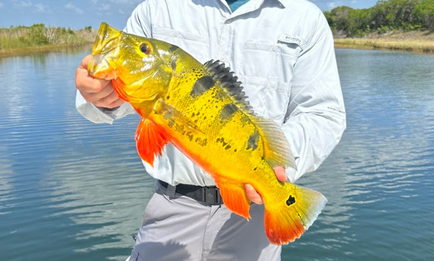 Image 1: Peacock Bass Fishing for 1, 2, or 4 or Offshore Fishing for 4 or 6