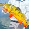 Image 1: Peacock Bass Fishing for 1, 2, or 4 or Offshore Fishing for 4 or 6