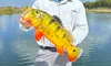 Reel in the excitement with a Unique Peacock Bass Fishing Charter or Offshore Fishing Charter (Up to 31% Off)