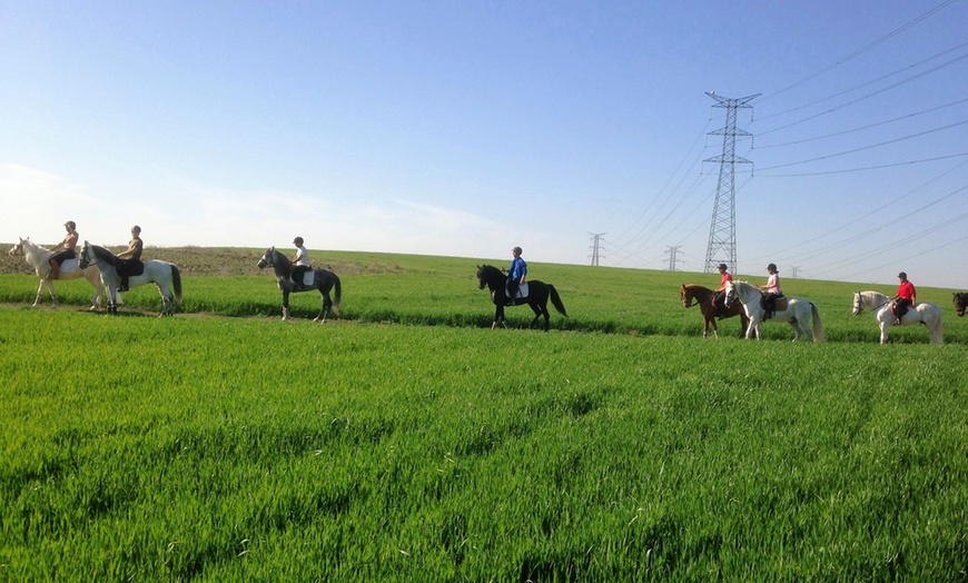 Image 9: Paseo a caballo en entorno natural para cualquier nivel (hasta 4 pax.)