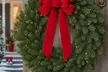 10-Inch Fraser Fir Christmas Wreath or 3–4 Foot Fraser Fir Christmas Tree with Free Shipping (Save 10%) - Image 3