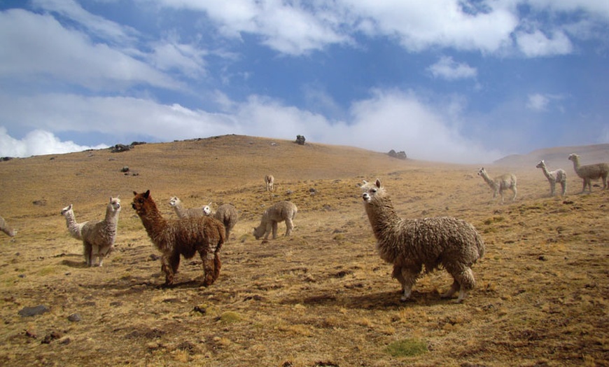 Image 11: Sorteo solidario: 10 días a Machu Picchu con Fundación CODESPA 