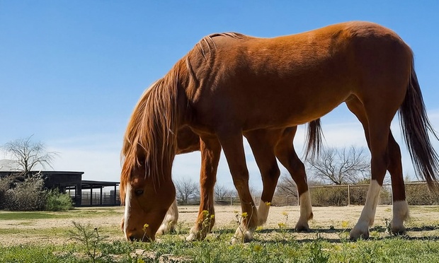 What to expect media