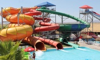 Waylon’s Water World overview