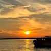 Image 2: Breathtaking Sunsets on a Wildlife Cruise through San Carlos Bay