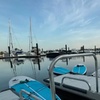 Image 3: Westshore Marina District Guided Kayak & Standup Paddleboard Rentals