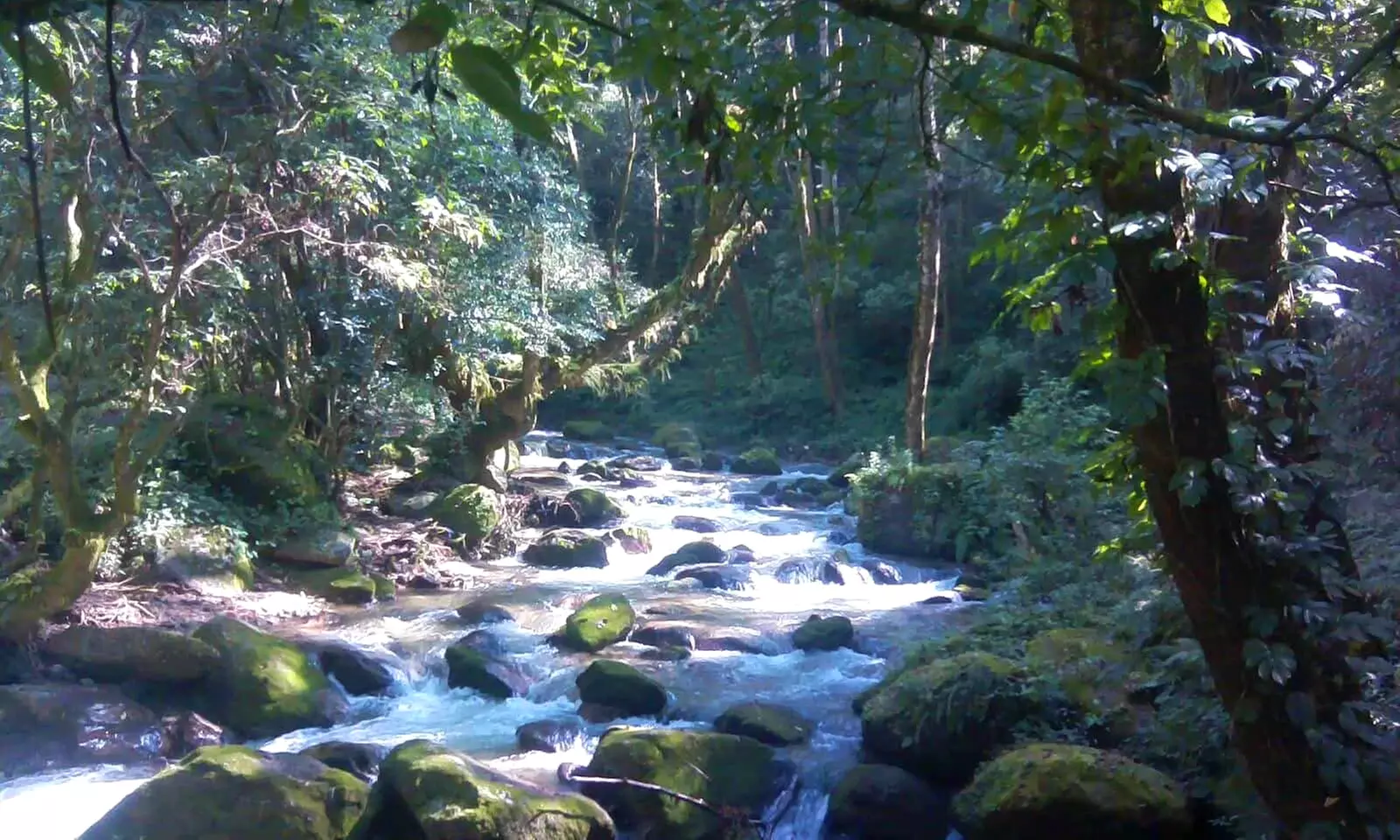 Nepal: 6-Day All-Inclusive Package Trekking Tour