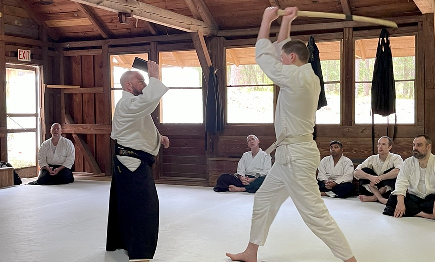 Image 1: 3 Month Unlimited Martial Arts Classes for Adults Above 14+ Only