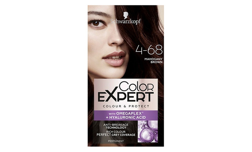 Image 17: Schwarzkopf Color Expert Hair Dye