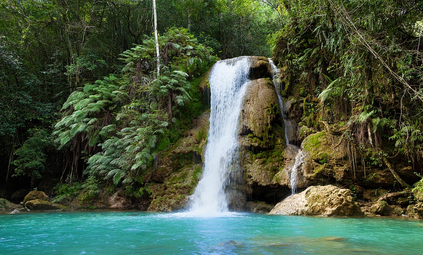 Image 24: ✈All-Inclusive Samaná Beachfront Getaway at Wyndham Alltra Samana