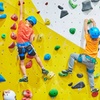 Image 1: ¡Escala sin límites! Acceso libre a rocódromo para niños o adultos 