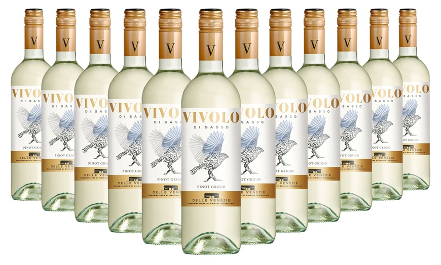 Image 2: 6 ou 12 bouteilles de vin 'Pinot Grigio'