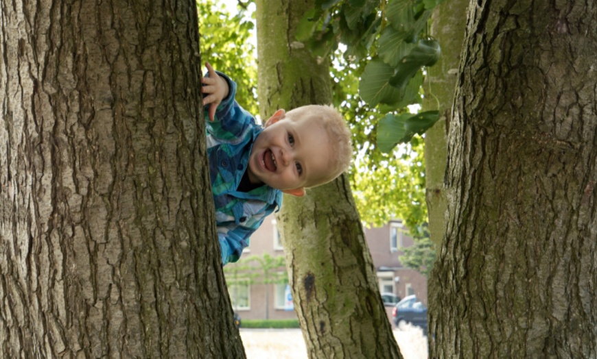 Image 3: Fotoshoot: zwanger, baby, peuter