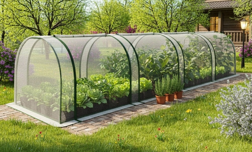 Image 1: Serre da giardino