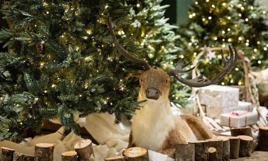 Image 5: 50-Minute Massage & 2 Course Lunch at The Belfry, Award-winning Spa