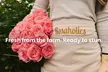 A floral treasure: Garden & Peony-Style Roses from Rosaholics (Up to 71%% Off) - Second Medium