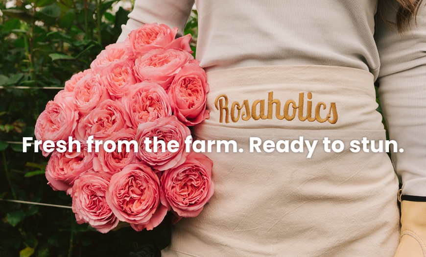 Image 3: A floral treasure: Garden & Peony-Style Roses from Rosaholics (Up to 71%% Off) 