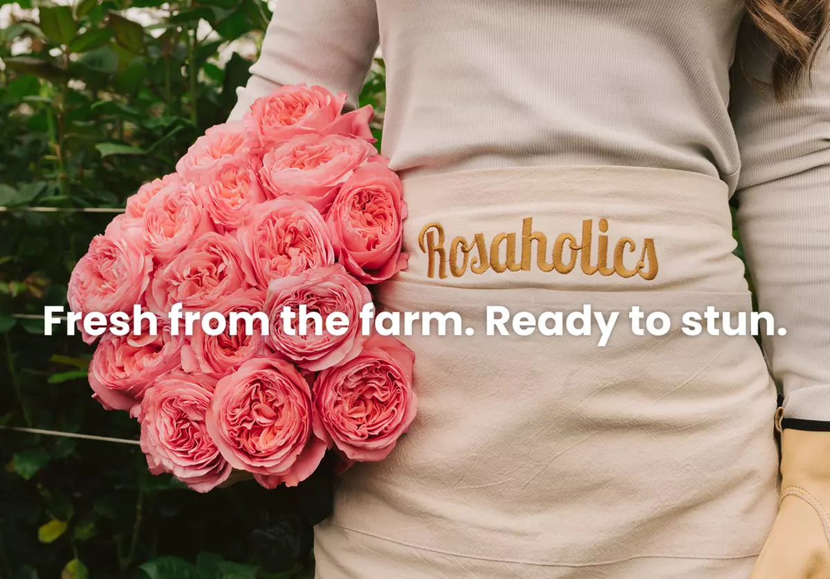 A floral treasure: Garden & Peony-Style Roses from Rosaholics (Up to 71%% Off)