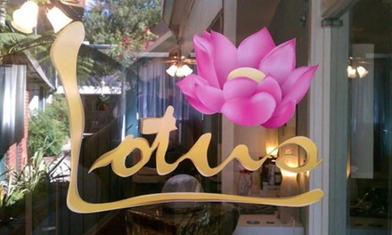 Women's Haircut + Deep Conditioning + Blowdry - Brianna at Lotus Healing Arts